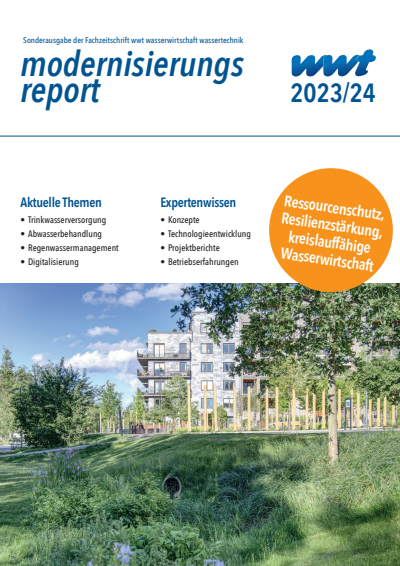 Issue Modernisierungsreport Cover