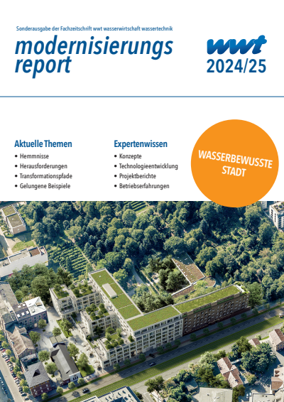 Issue Modernisierungsreport Cover