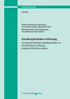 Patrick Schwerdtner, Tanja Kessel, Carsten Roth, Shayan Ashrafzadeh Kian, Michael Bucherer, Felix Schippmann, Tino Uhlendorf, Sönke Wahnes - Handlungsleitfaden Initiierung