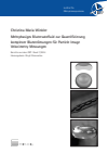 Christina Maria Winkler - Mehrphasiges Blutersatzfluid zur Quantifizierung komplexer Blutströmungen für Particle Image Velocimetry Messungen